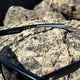 Beauty Vision *Polarized Sunglasses Beauty Status Hockey Co.